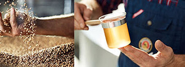 scrolling banner image of brewing process